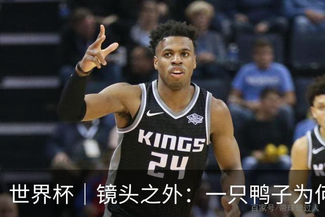 世界杯｜镜头之外：一只鸭子为何火遍世界杯？